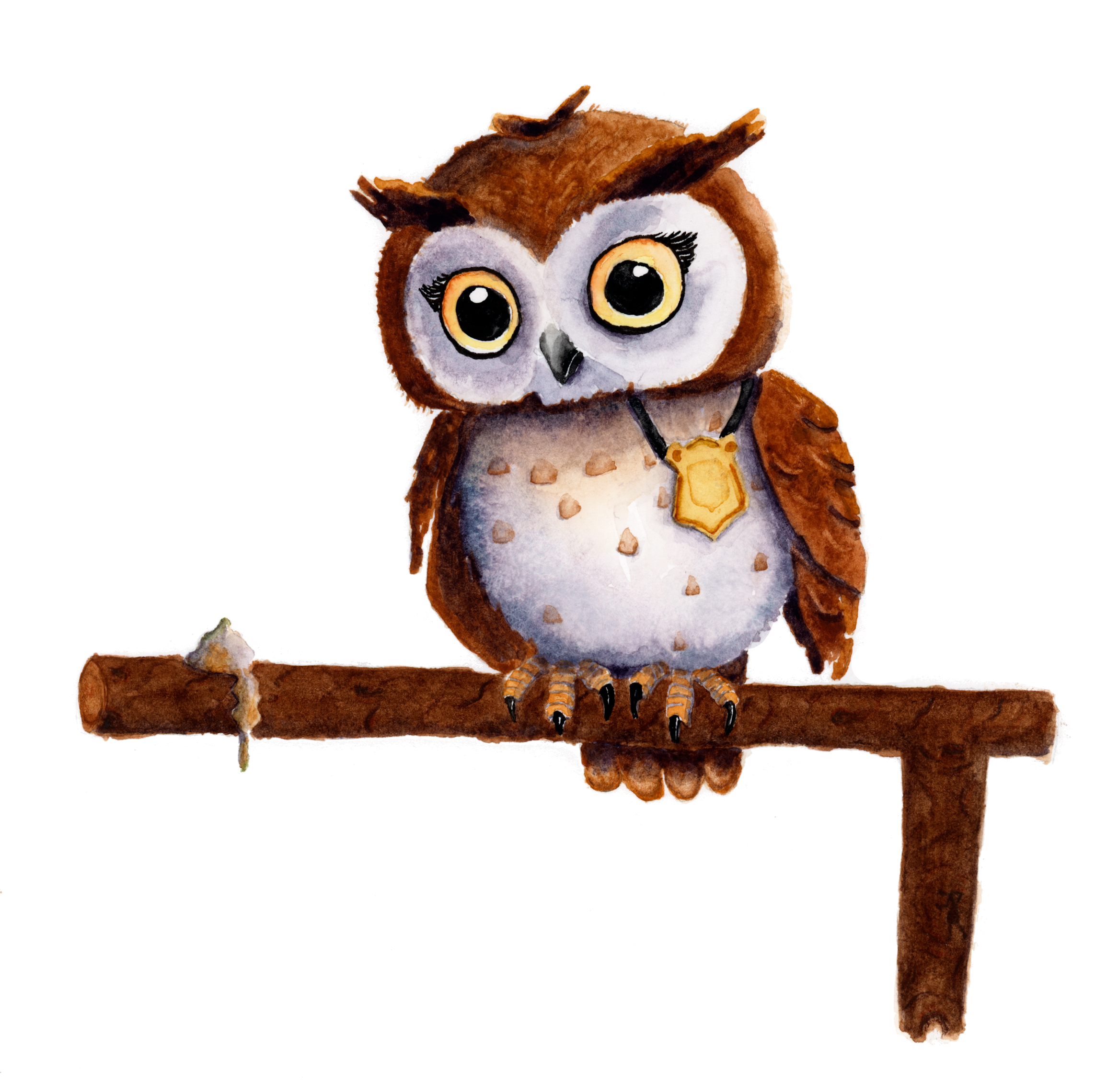Detective Owl